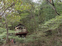 07.jpg