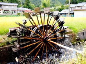 20150828枝光2.jpg